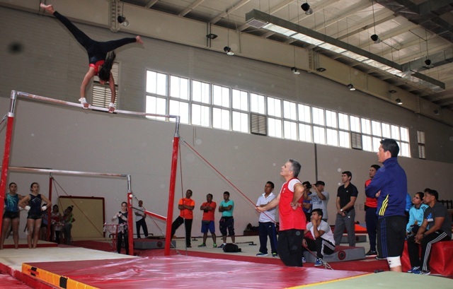 IPD : organiza curso internacional de gimnasia artística